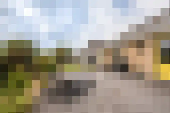 Buitensingel 79 Sappemeer thumbnail 30