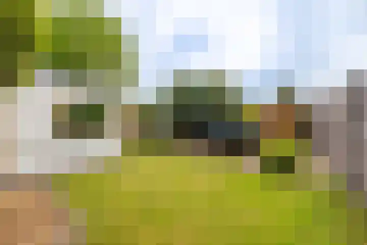 Buitensingel 79 Sappemeer thumbnail 31