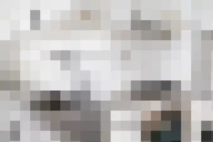 Buitensingel 79 Sappemeer thumbnail 32