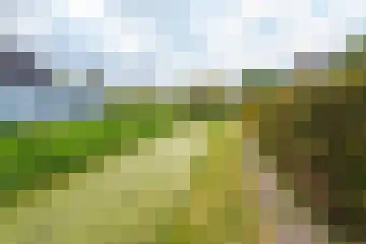 Buitensingel 79 Sappemeer thumbnail 33