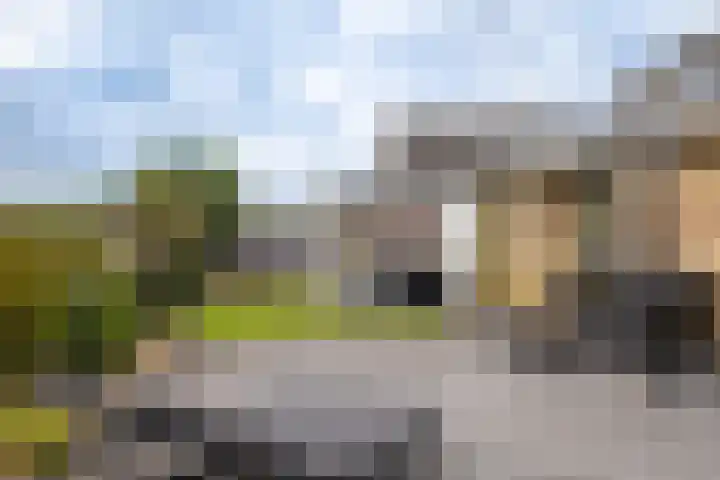 Buitensingel 79 Sappemeer thumbnail 34