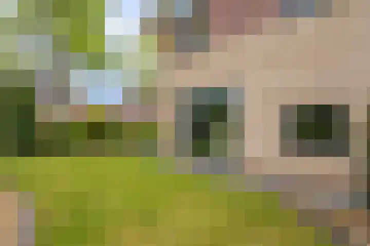 Buitensingel 79 Sappemeer thumbnail 36