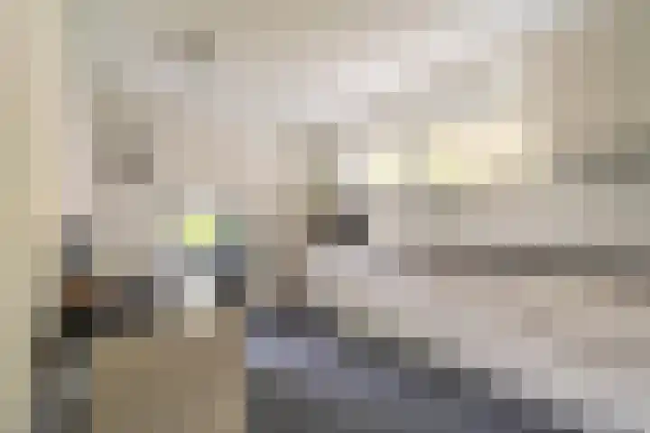Buitensingel 79 Sappemeer thumbnail 38