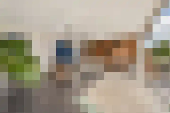 Buitensingel 79 Sappemeer thumbnail 4