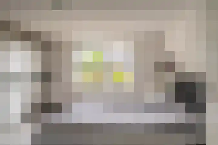 Buitensingel 79 Sappemeer thumbnail 41