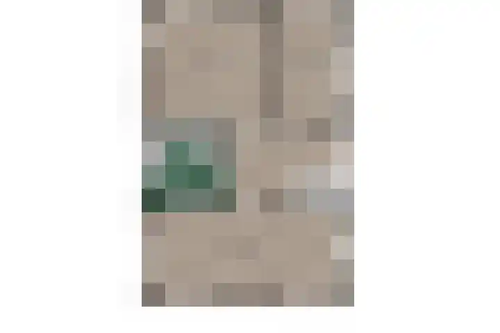 Buitensingel 79 Sappemeer thumbnail 48