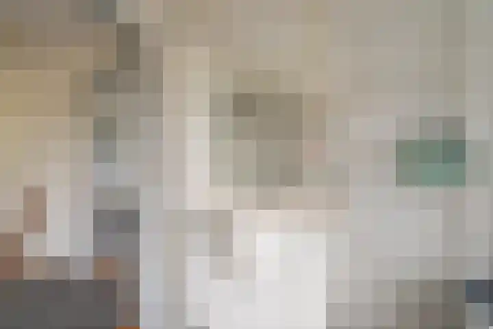 Buitensingel 79 Sappemeer thumbnail 53