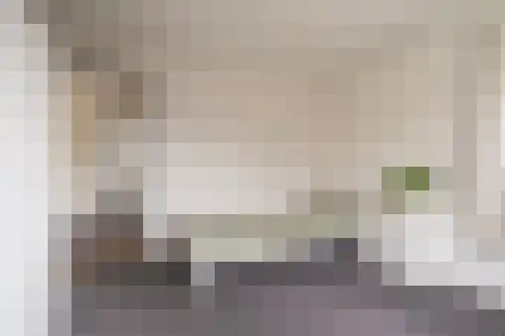 Buitensingel 79 Sappemeer thumbnail 56