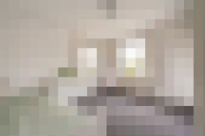 Buitensingel 79 Sappemeer thumbnail 58