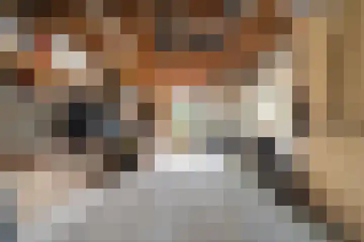 Buitensingel 79 Sappemeer thumbnail 62