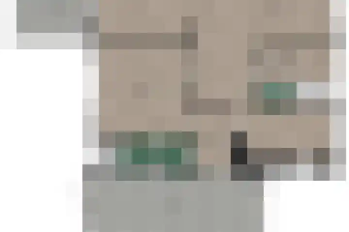 Buitensingel 79 Sappemeer thumbnail 65