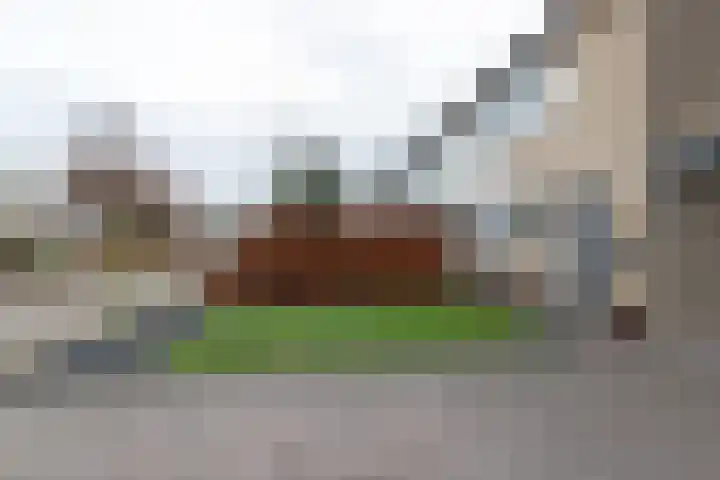 Buitensingel 80 Oldehove thumbnail 10