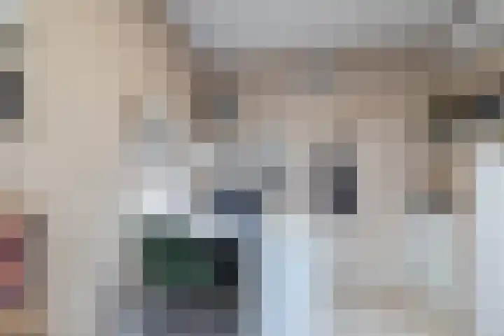 Buitensingel 80 Oldehove thumbnail 13