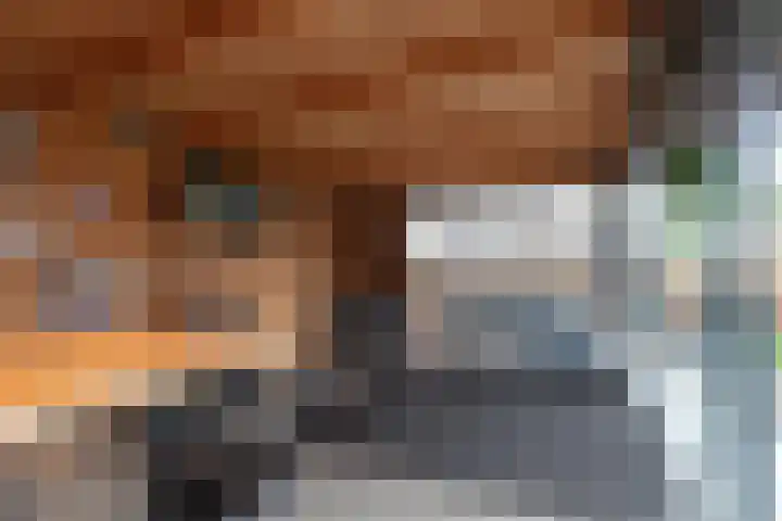 Buitensingel 80 Oldehove thumbnail 28