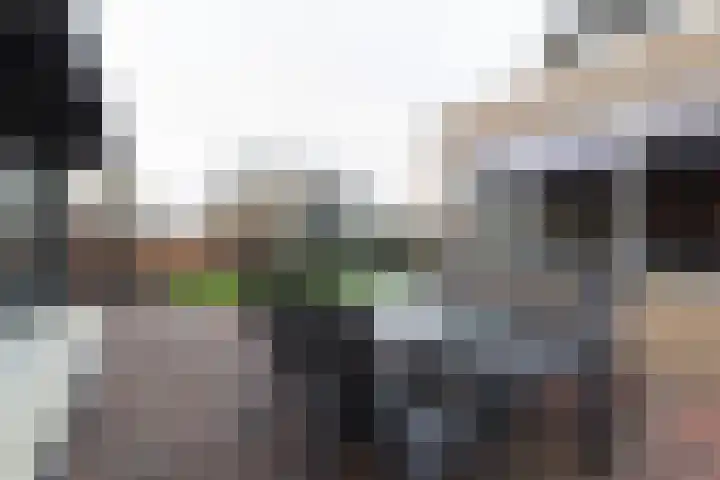 Buitensingel 80 Oldehove thumbnail 31