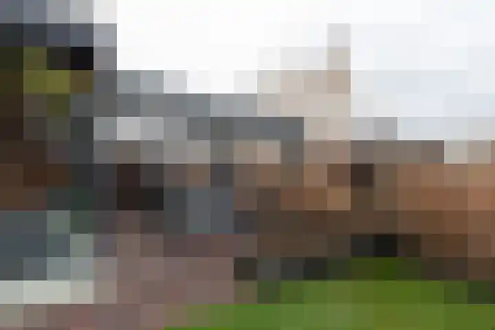 Buitensingel 80 Oldehove thumbnail 34