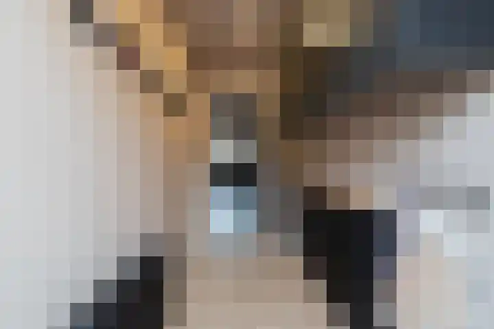 Buitensingel 80 Oldehove thumbnail 38
