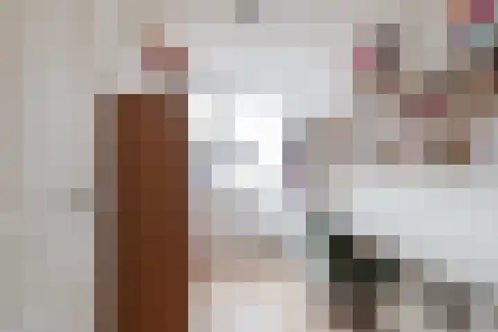 Buitensingel 80 Oldehove thumbnail 43