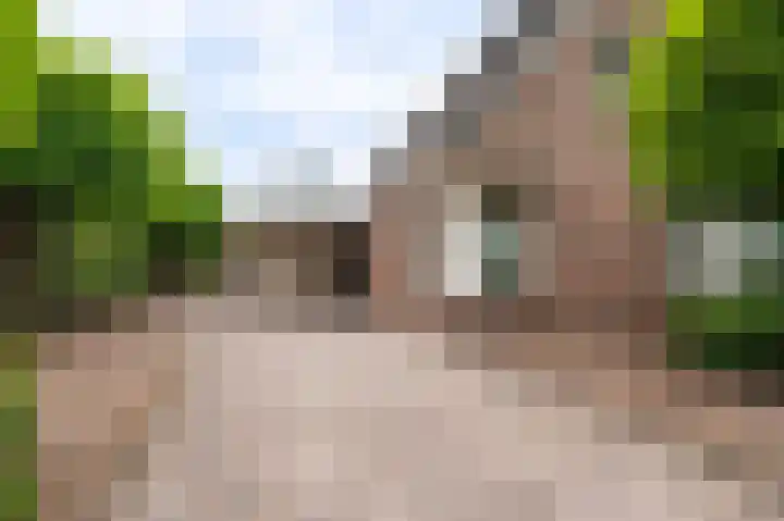 Buitensingel 83 Sappemeer thumbnail 11