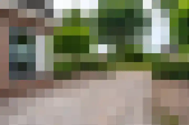 Buitensingel 83 Sappemeer thumbnail 12