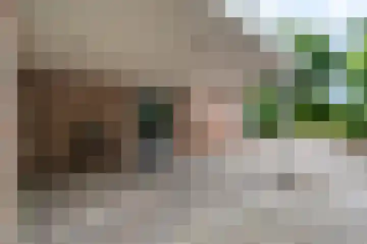 Buitensingel 83 Sappemeer thumbnail 13
