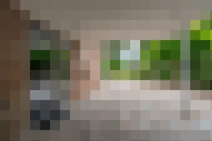 Buitensingel 83 Sappemeer thumbnail 14