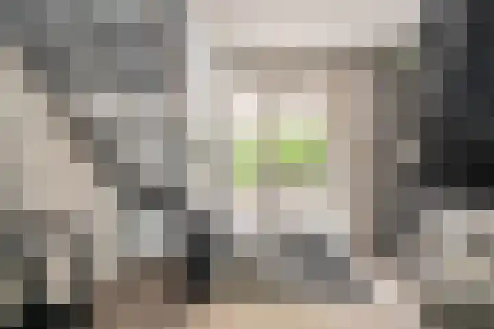 Buitensingel 83 Sappemeer thumbnail 17