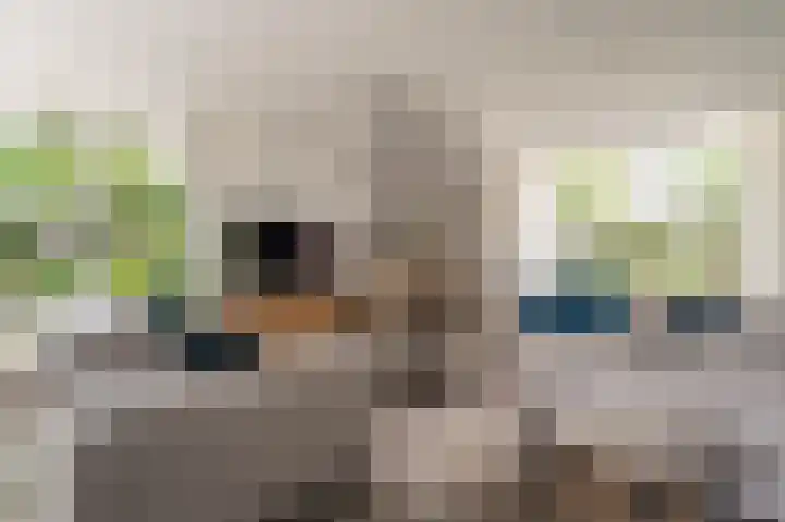 Buitensingel 83 Sappemeer thumbnail 21