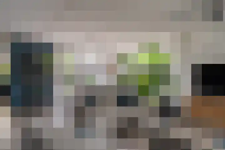 Buitensingel 83 Sappemeer thumbnail 22
