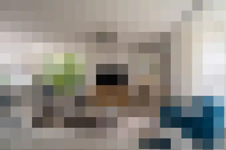 Buitensingel 83 Sappemeer thumbnail 24