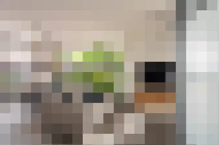 Buitensingel 83 Sappemeer thumbnail 27