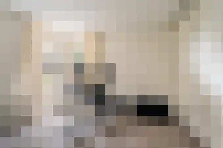 Buitensingel 83 Sappemeer thumbnail 28