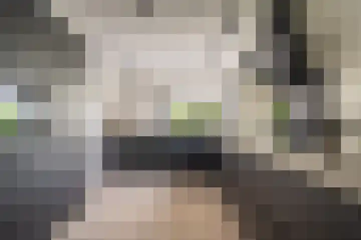 Buitensingel 83 Sappemeer thumbnail 30