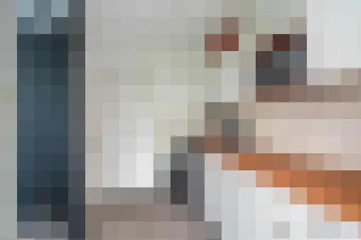 Buitensingel 83 Sappemeer thumbnail 34