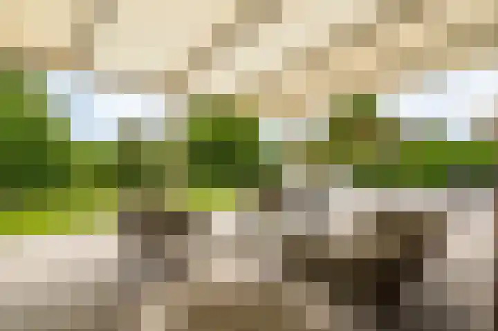 Buitensingel 83 Sappemeer thumbnail 35