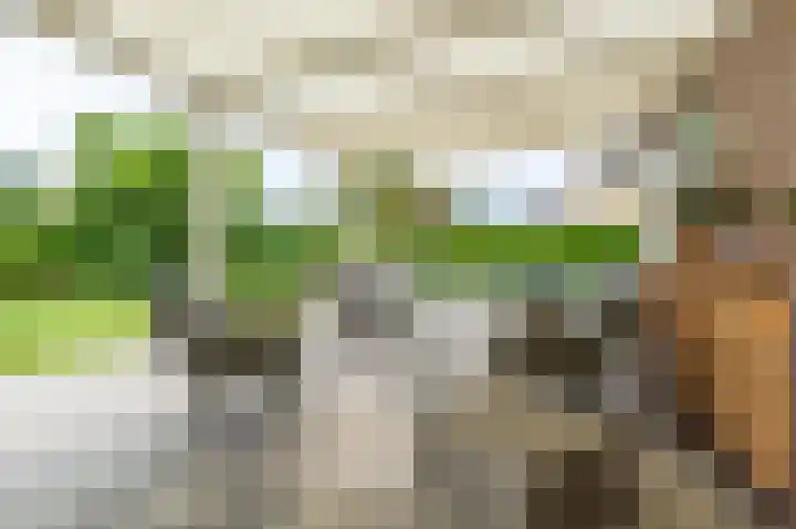 Buitensingel 83 Sappemeer thumbnail 36