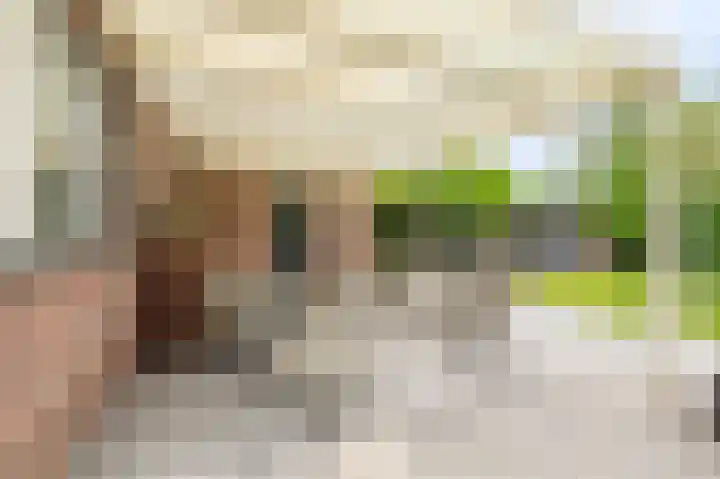 Buitensingel 83 Sappemeer thumbnail 39
