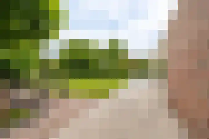Buitensingel 83 Sappemeer thumbnail 44
