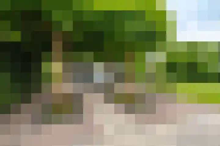 Buitensingel 83 Sappemeer thumbnail 45