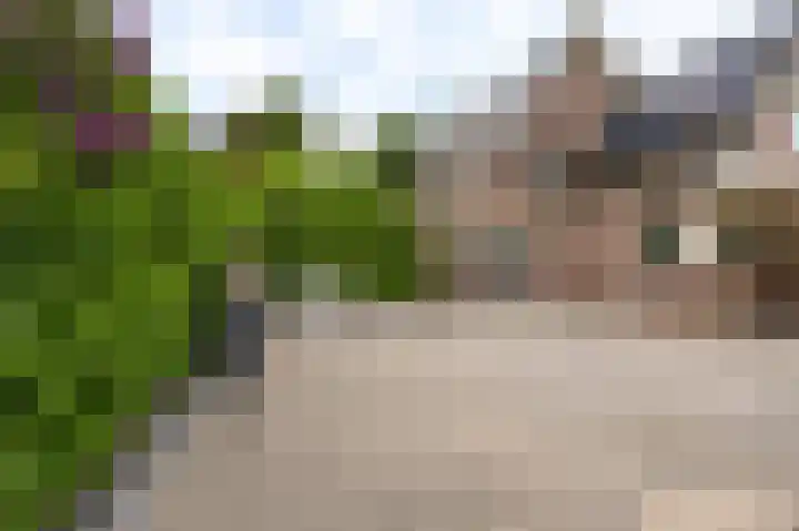 Buitensingel 83 Sappemeer thumbnail 48