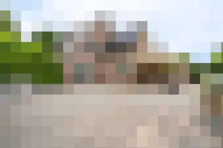 Buitensingel 83 Sappemeer thumbnail 49