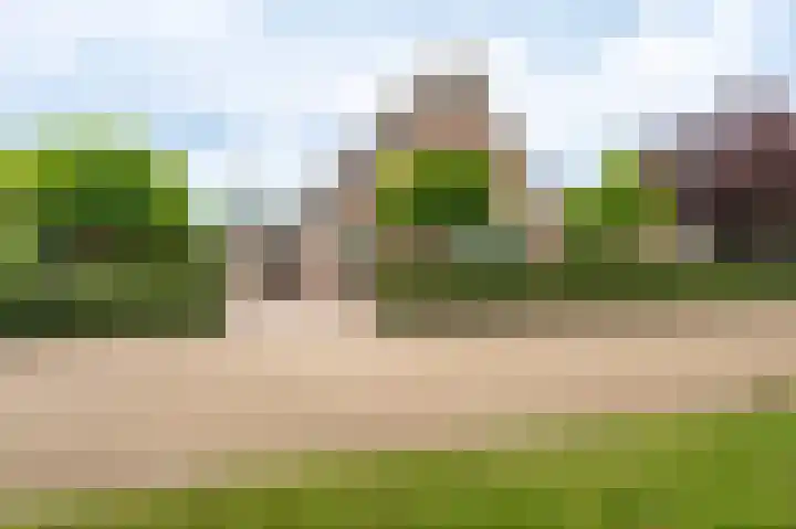 Buitensingel 83 Sappemeer thumbnail 5
