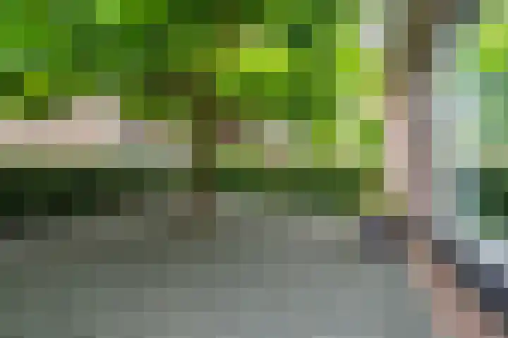 Buitensingel 83 Sappemeer thumbnail 52