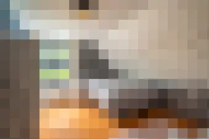 Buitensingel 83 Sappemeer thumbnail 58