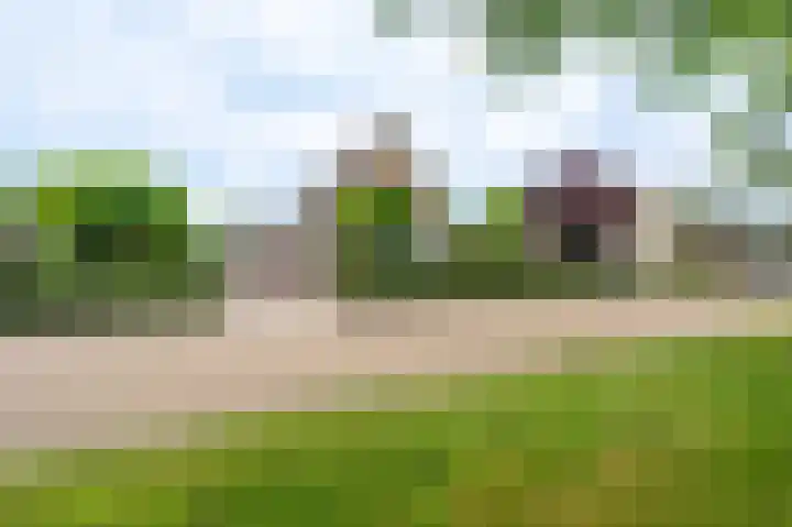 Buitensingel 83 Sappemeer thumbnail 6