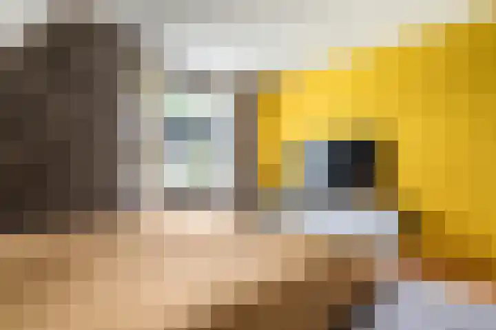 Buitensingel 83 Sappemeer thumbnail 61