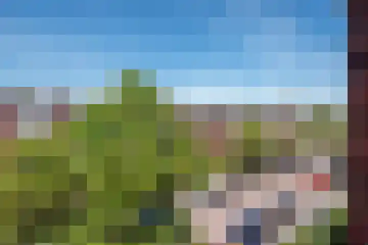 Buitensingel 83 Sappemeer thumbnail 62