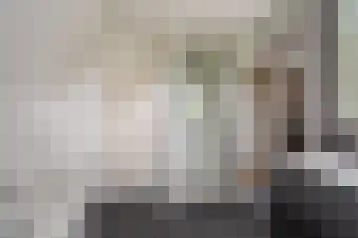 Buitensingel 83 Sappemeer thumbnail 62