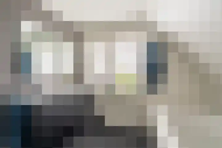 Buitensingel 83 Sappemeer thumbnail 64