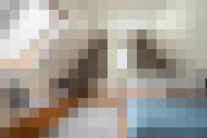 Buitensingel 83 Sappemeer thumbnail 67